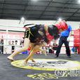 葉婷(中國女子散打運動員)