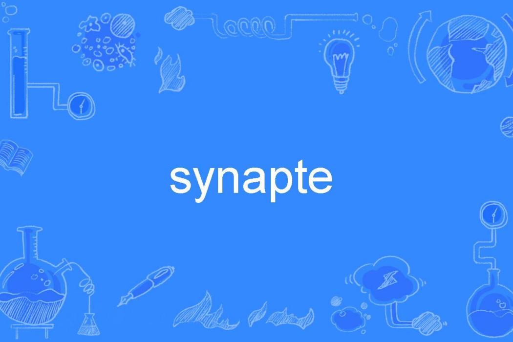synapte