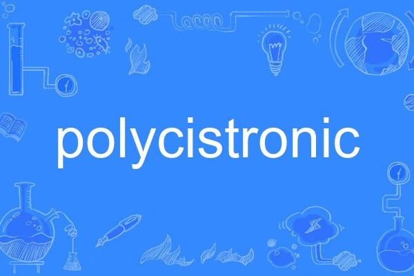 polycistronic polycistronic