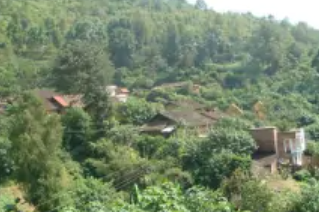 那郎村(雲南省文山市富寧縣新華鎮那郎村) 那郎村(雲南省文山市富寧縣新華鎮那郎村)