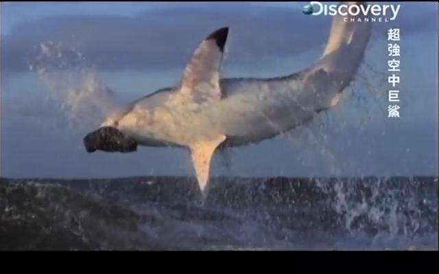 超強空中巨鯊