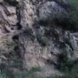 化子洞遺址 化子洞遺址