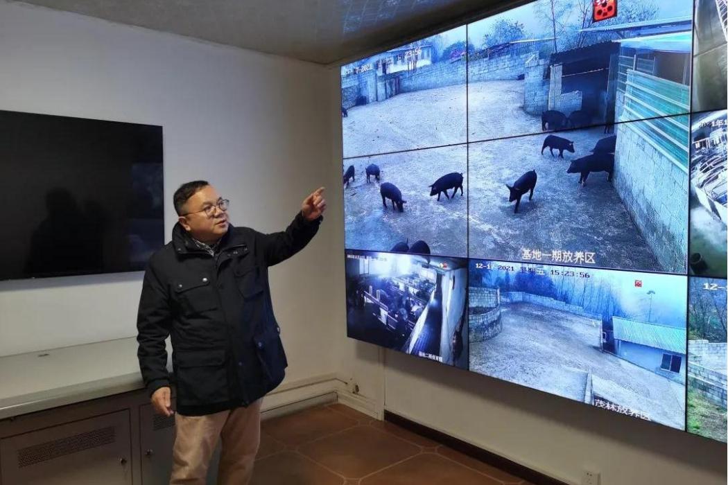 王金濤(貴州二表哥生態農業有限公司董事長) 王金濤(貴州二表哥生態農業有限公司董事長)