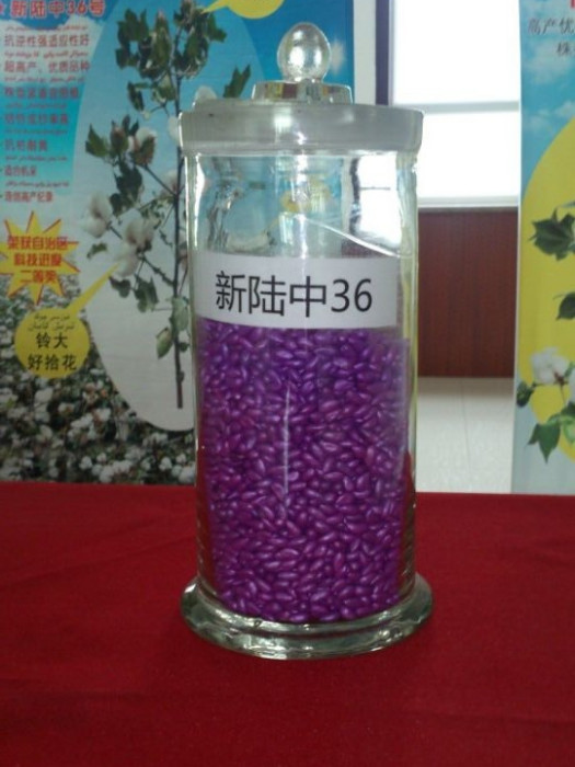 新陸中36號 新陸中36號