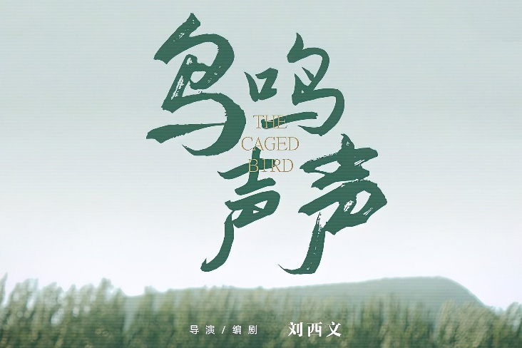 鳥鳴聲聲 鳥鳴聲聲