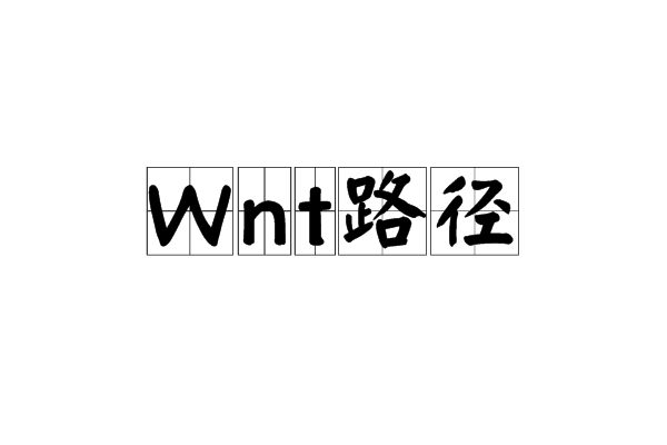 Wnt路徑 Wnt路徑