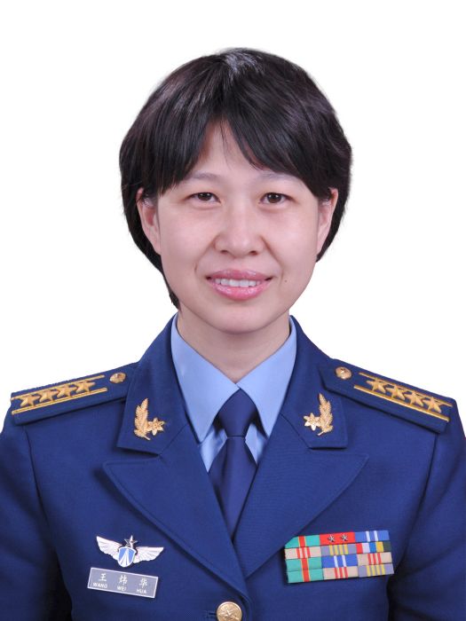 王煒華(北京市第十六屆人民代表大會代表) 王煒華(北京市第十六屆人民代表大會代表)