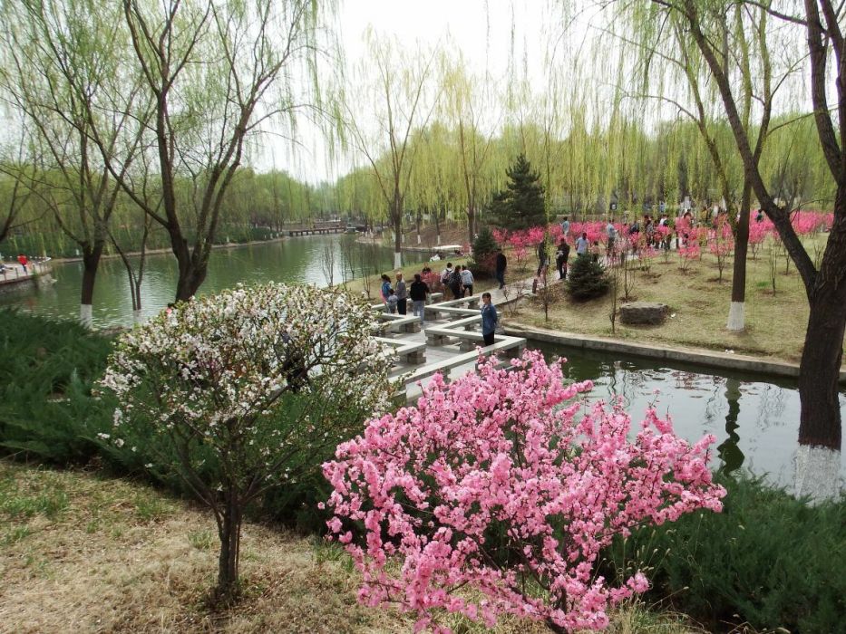 萬柳公園 萬柳公園