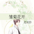 雛菊花開 雛菊花開