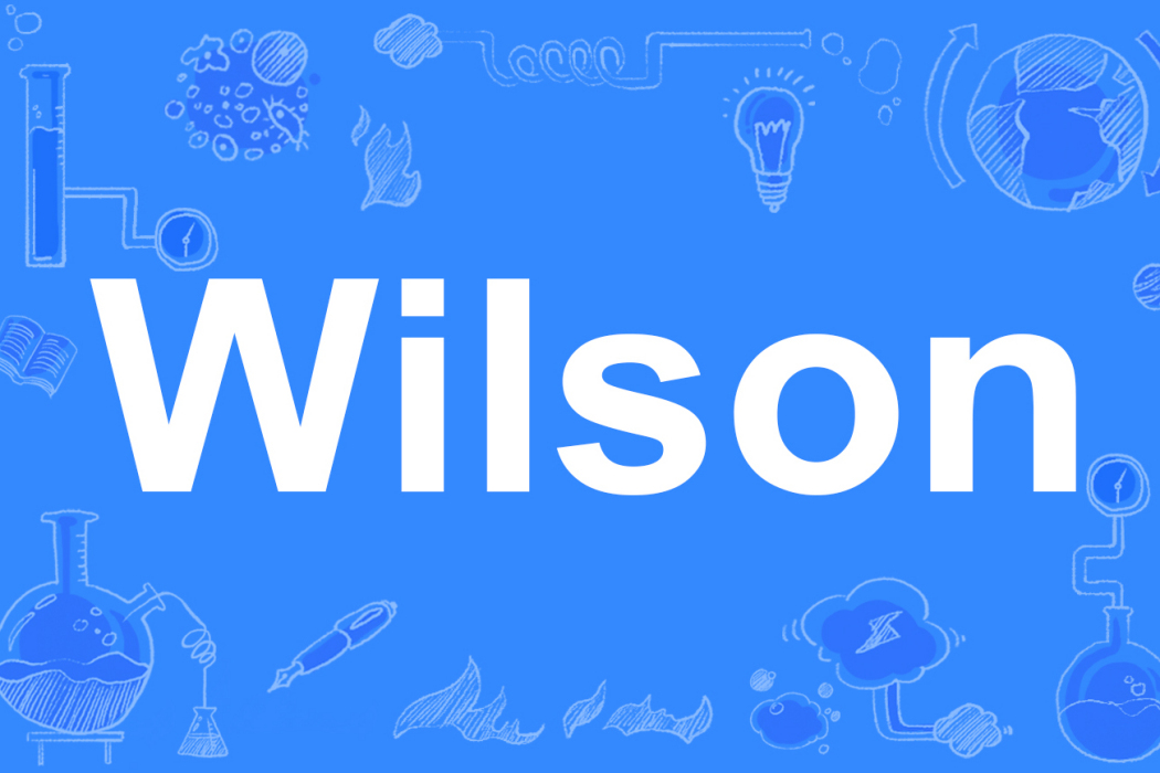 Wilson(英文單詞) Wilson(英文單詞)