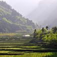 大婁山(婁山) 大婁山(婁山)