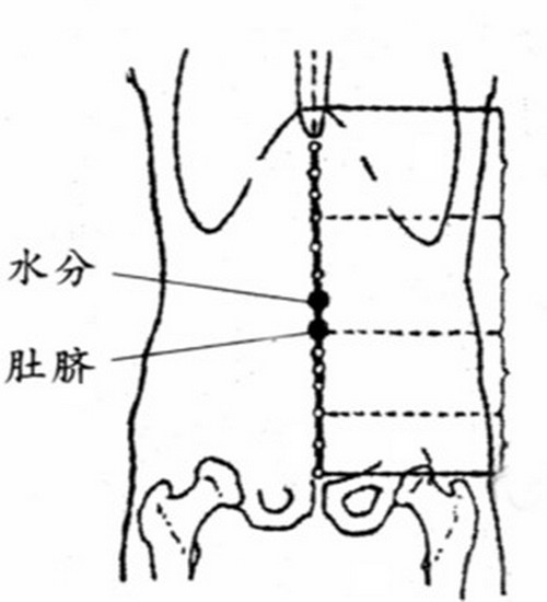 水分穴