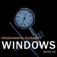 PROGRAMMING MICROSOFT WINDOWS WITH C# PROGRAMMING MICROSOFT WINDOWS WITH C#
