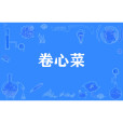 捲心菜(網路流行詞) 捲心菜(網路流行詞)