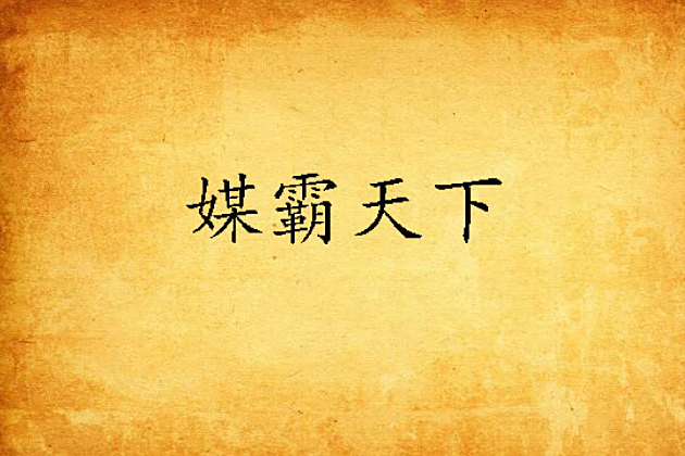 媒霸天下 媒霸天下