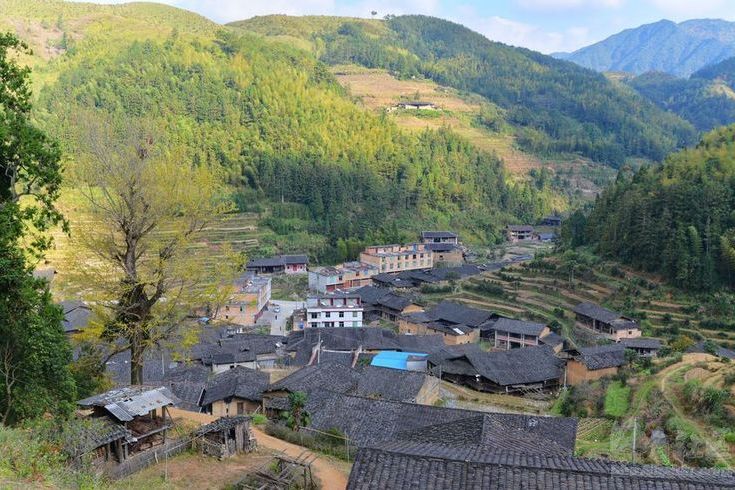 碾坑村 碾坑村