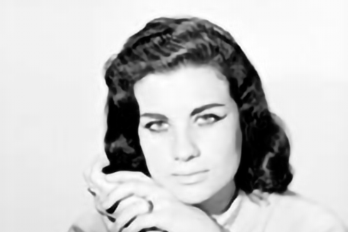 Yolanda Ciani Yolanda Ciani