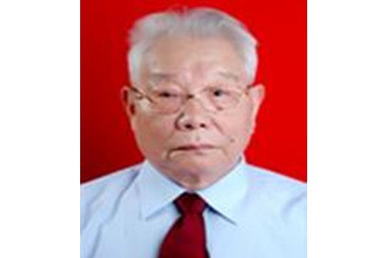 王炳勛(湖北省頸肩腰腿痛學會主任委員) 王炳勛(湖北省頸肩腰腿痛學會主任委員)
