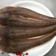 牛尾魚 牛尾魚