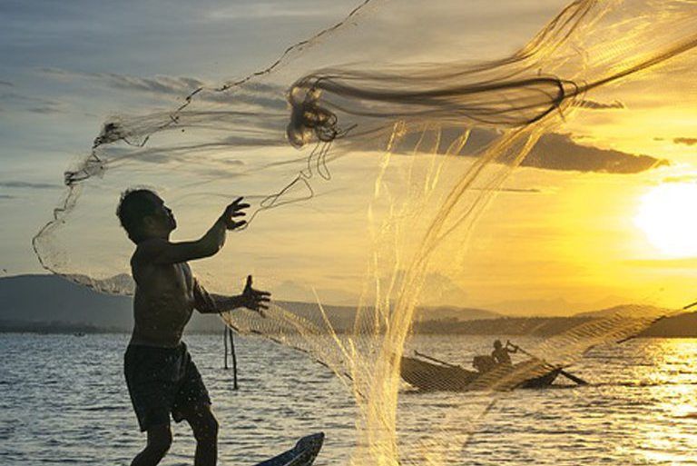 釣魚上鉤 釣魚上鉤
