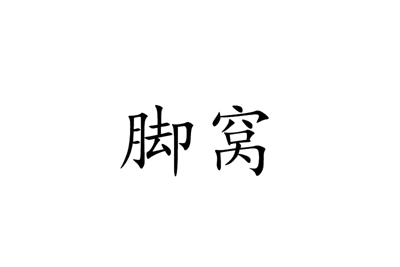 腳窩(漢語方言辭彙,指很深的腳印) 腳窩(漢語方言辭彙,指很深的腳印)