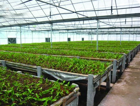 上海農卉生物科技有限公司
