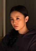 霧裡看花(2009年李幼斌主演電視劇)