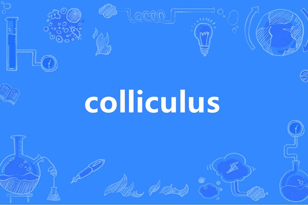 colliculus colliculus