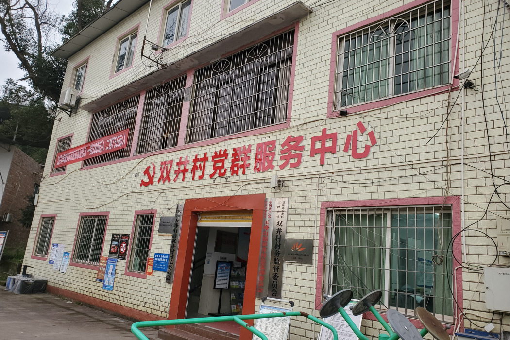 雙井村(重慶市渝北區玉峰山鎮雙井村) 雙井村(重慶市渝北區玉峰山鎮雙井村)