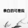 表白的可是我 表白的可是我