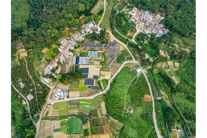 石井村(廣東省中山市五桂山街道下轄村) 石井村(廣東省中山市五桂山街道下轄村)