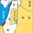鑄鉛行動(加沙戰爭) 鑄鉛行動(加沙戰爭)