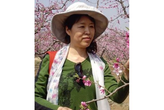 杜小梅(河北大學外語系教師) 杜小梅(河北大學外語系教師)