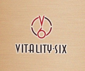 V6銀飾新Logo