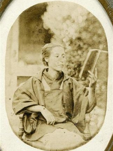 楠本稻 楠本稻