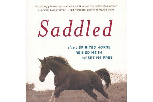 saddled saddled