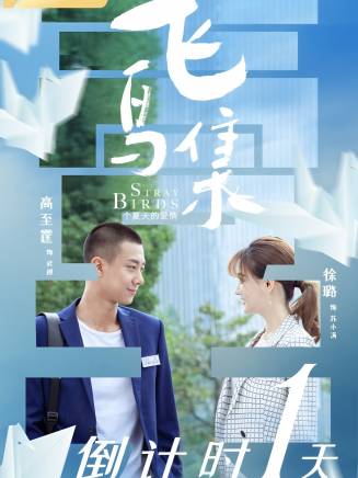 秦楚明 秦楚明