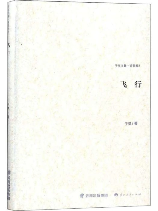 飛行(2018年雲南人民出版社出版的圖書) 飛行(2018年雲南人民出版社出版的圖書)