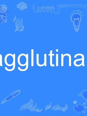 agglutinant agglutinant