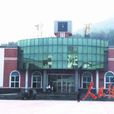 柳河鎮(吉林省柳河縣柳河鎮) 柳河鎮(吉林省柳河縣柳河鎮)