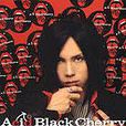 Acid Black Cherry寫真集