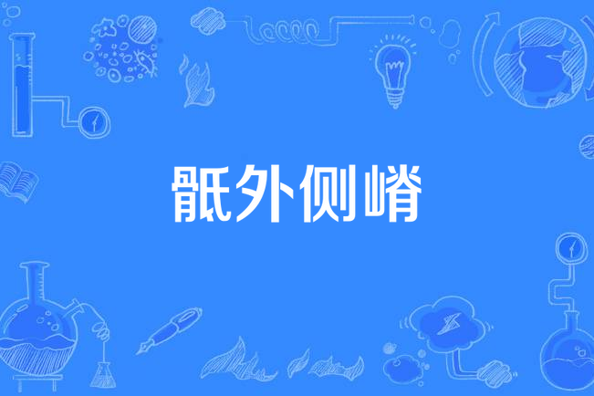 骶外側嵴