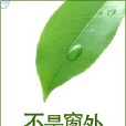 不是窗外 不是窗外