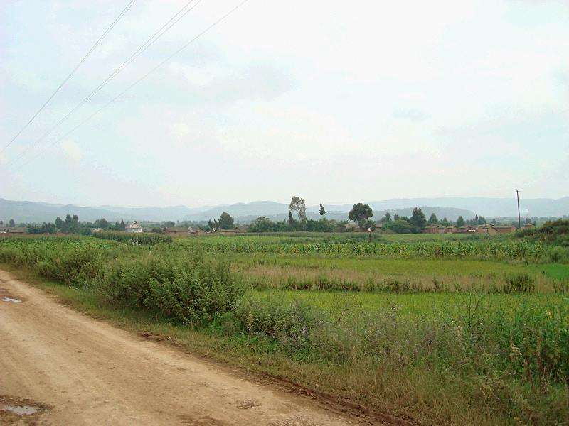 吳所村 吳所村