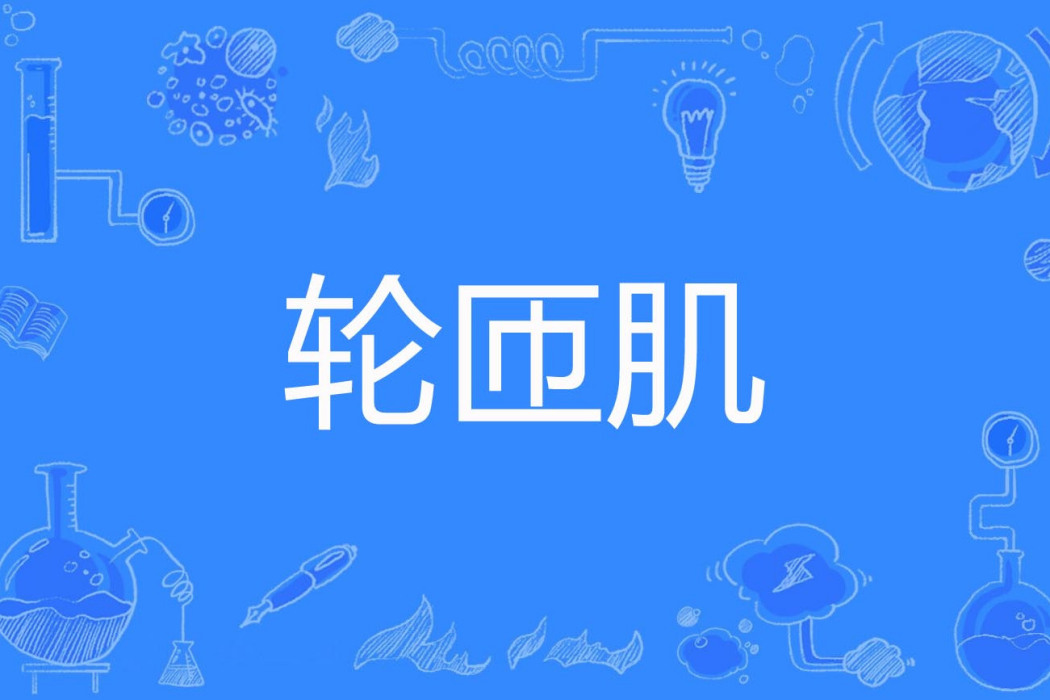 輪匝肌 輪匝肌