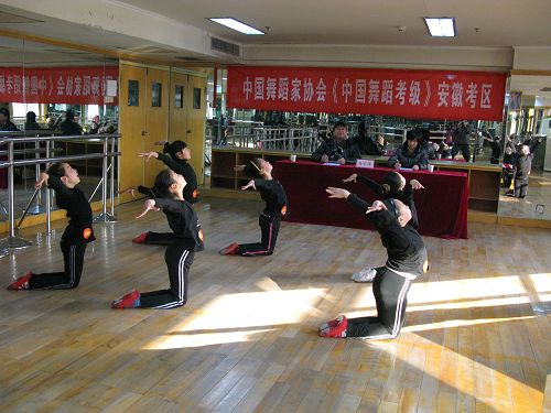 中國舞蹈家協會舞蹈考級中心湖南考區委員會