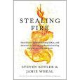 Stealing Fire(Dey Street Books出版的圖書) Stealing Fire(Dey Street Books出版的圖書)