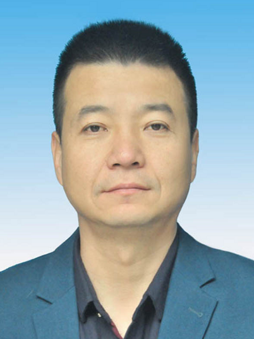 張鵬(陝西省西安市高陵區涇渭街道黨工委副書記、街辦主任)