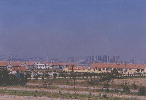 施溝村 施溝村