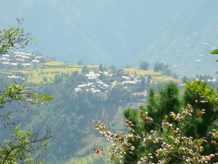 托各村 托各村